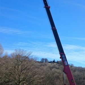 Crane and steel end pole